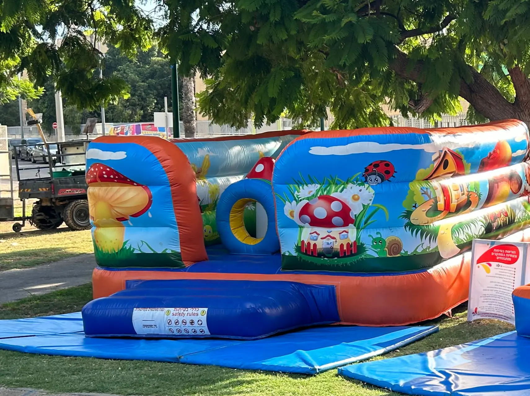 מיטת שעשועים